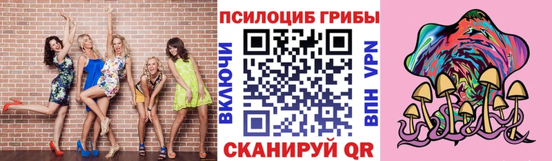 Псилоцибиновые грибы Magic Shrooms  Новочебоксарск 